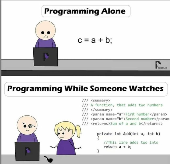 Programing Alone Programmerhumor Io