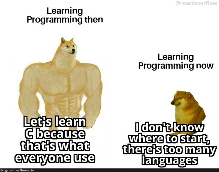 Should I Learn Javascript Or Python? – Programmerhumor.io