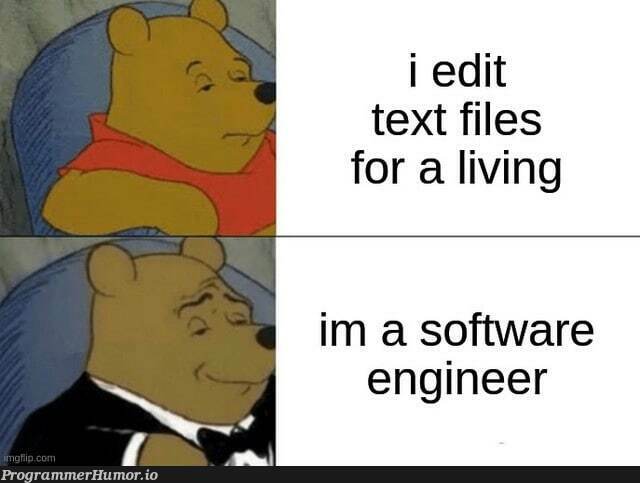 senior-excel-developer-programmerhumor-io