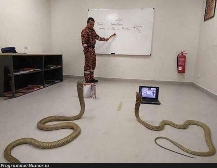 a-python-class-in-india-programmerhumor-io