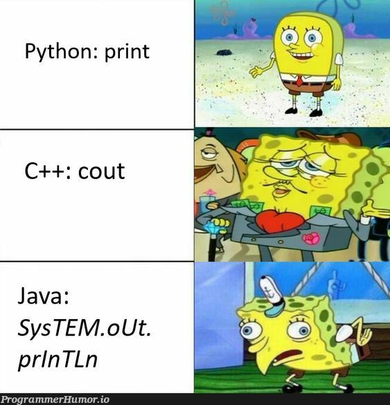 print-statement-in-java-programmerhumor-io