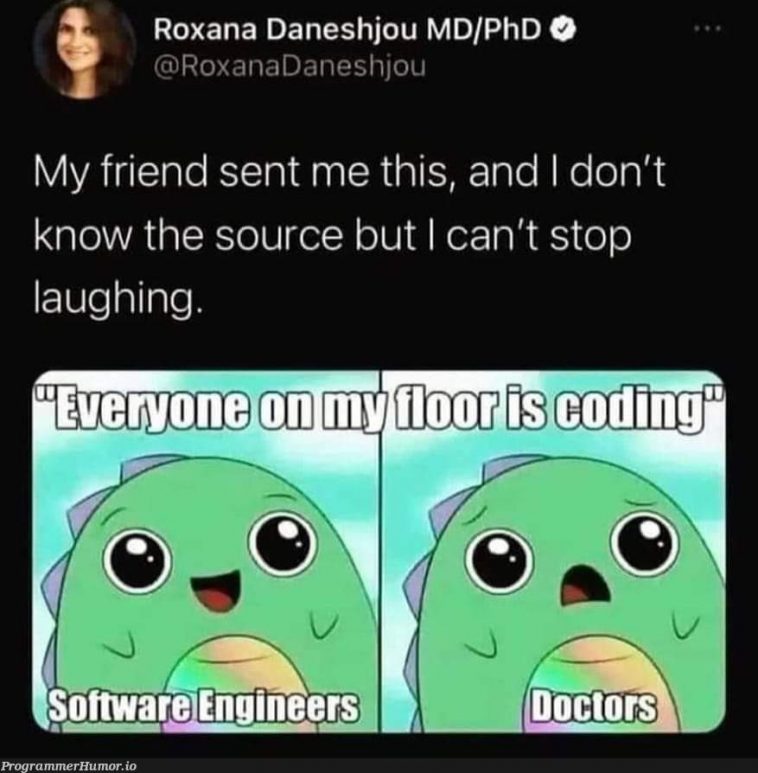 Devs Vs Doctors ProgrammerHumor Io