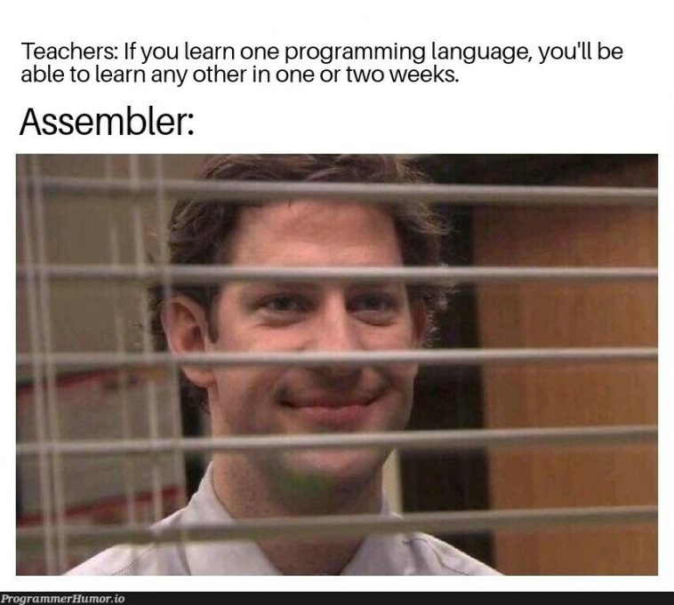 Assembler is the only real language – ProgrammerHumor.io