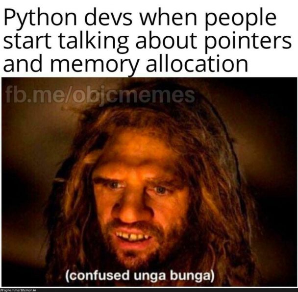 pointers – ProgrammerHumor.io