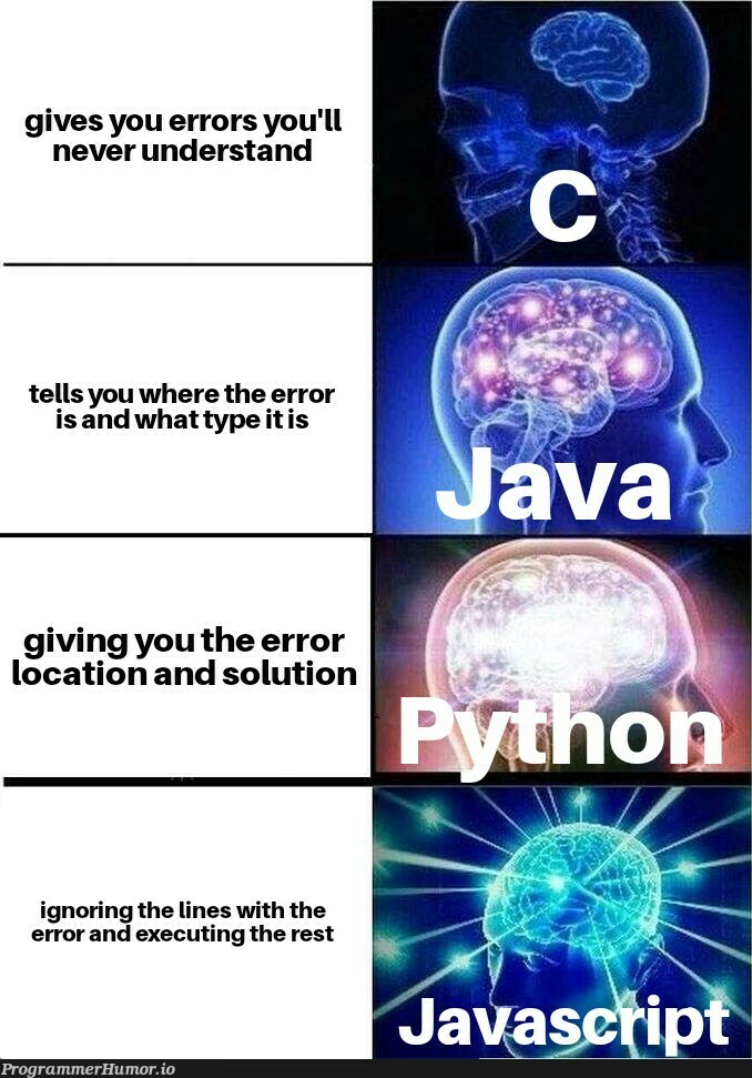 Everyone handles those errors in their own way – ProgrammerHumor.io