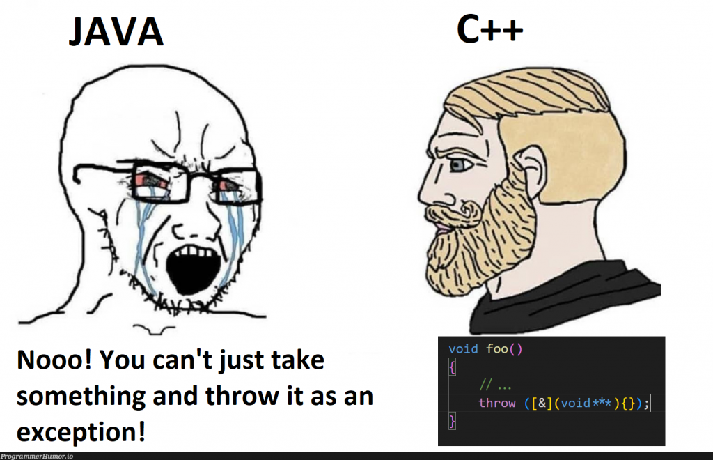 Chad C++ vs virgin Java – ProgrammerHumor.io