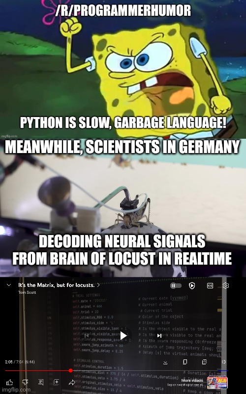 Python is slow, garbage language! – ProgrammerHumor.io