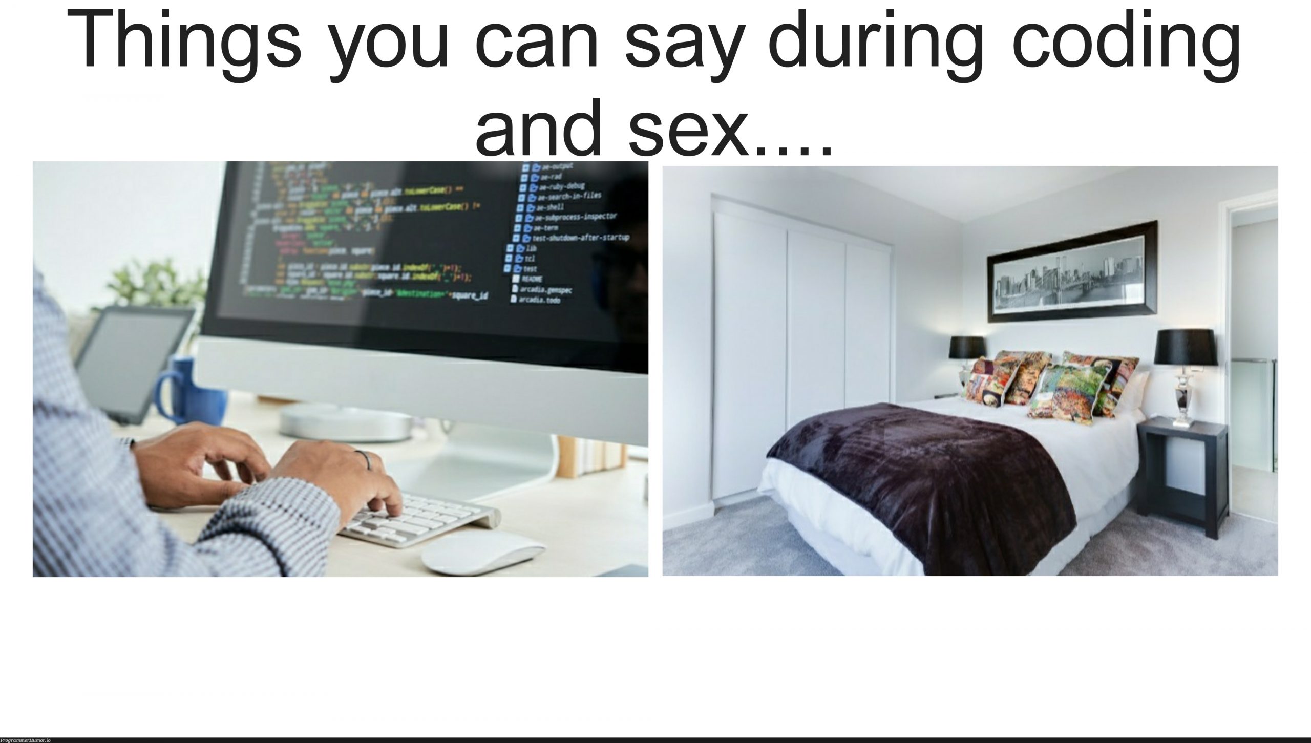 Things You Can Say During Coding And Sex 6804