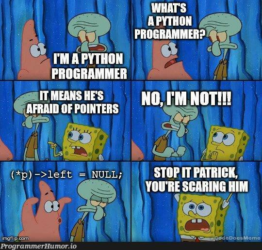 Are you scared to death of pointers? ;) – ProgrammerHumor.io