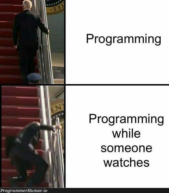 Stop peeping on my screen – ProgrammerHumor.io