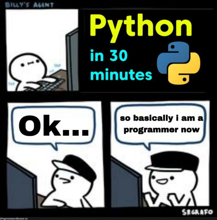 Probably every 12 year old after watching a 30 minute Python Tutorial ...