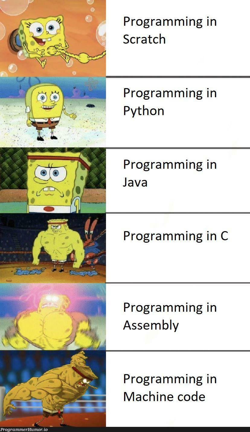 The language hierarchy in terms of difficulty – ProgrammerHumor.io