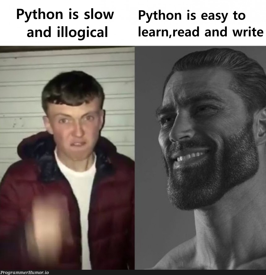 Python is all you need. End – ProgrammerHumor.io