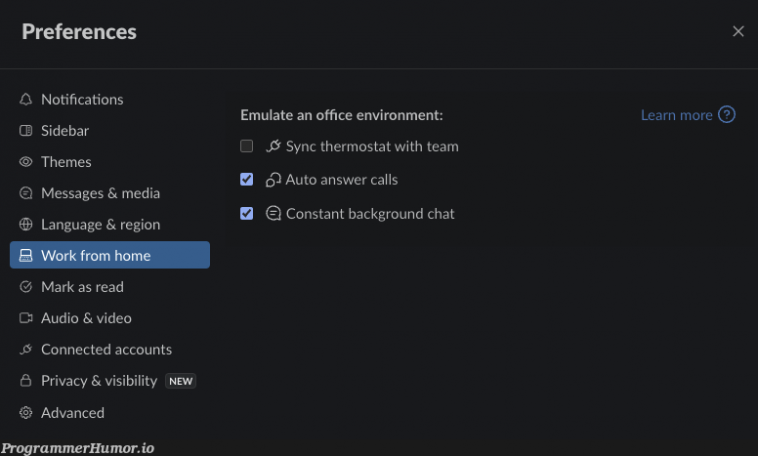 These WFH Slack settings are getting ridiculous – ProgrammerHumor.io