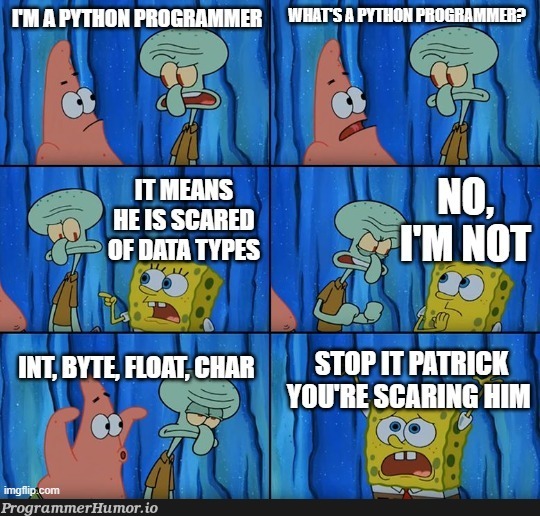 I’m a Python programmer – ProgrammerHumor.io