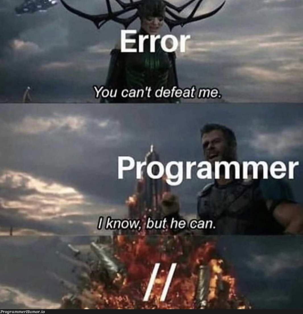 When in doubt, comment it out – ProgrammerHumor.io