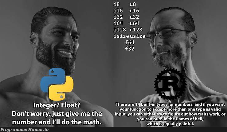Rust be like – ProgrammerHumor.io