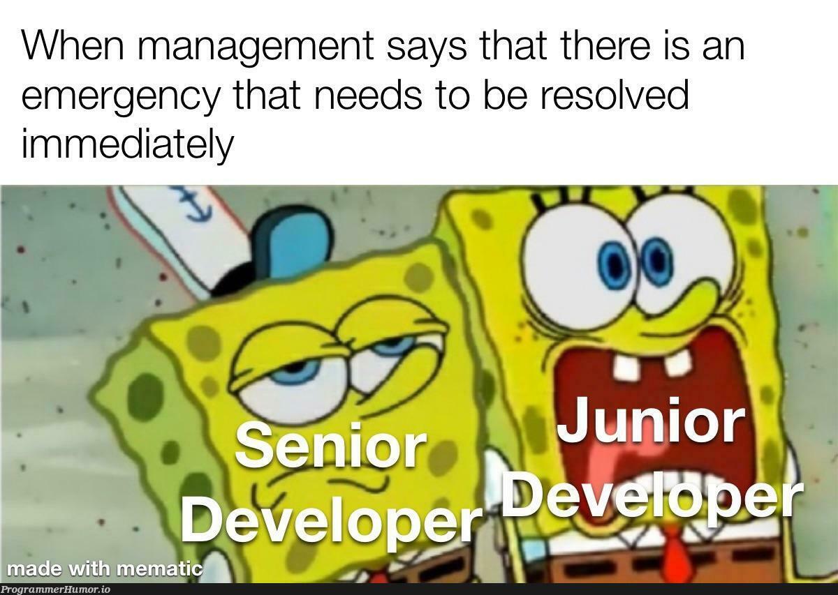 Management tends to cry wolf too often – ProgrammerHumor.io