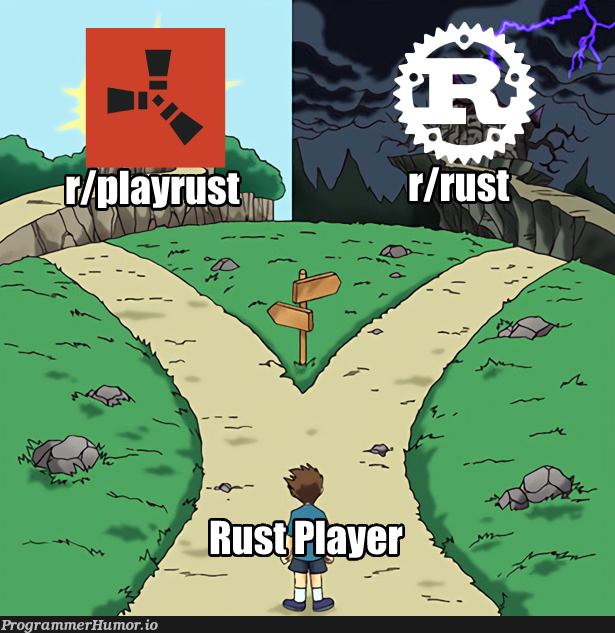 There’s the Rust Player still going wrong subreddit? – ProgrammerHumor.io